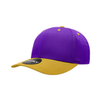 6 Panel Mid Prof Struc Cotto