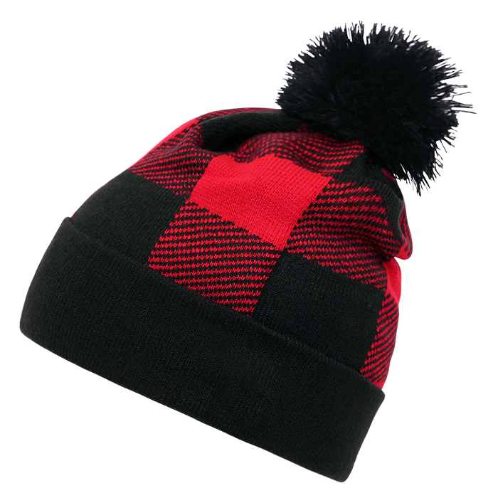 Pom Plaid Beanie